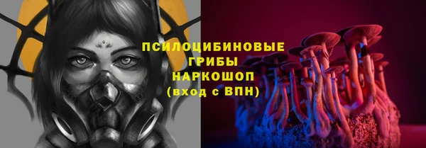 прущая мука Богородск