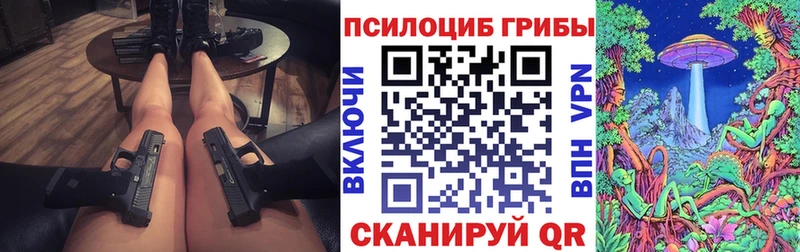 Псилоцибиновые грибы Cubensis  Моздок 